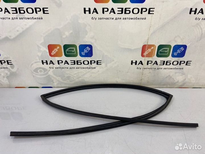 Уплотнительная резинка стекла двери задняя правая