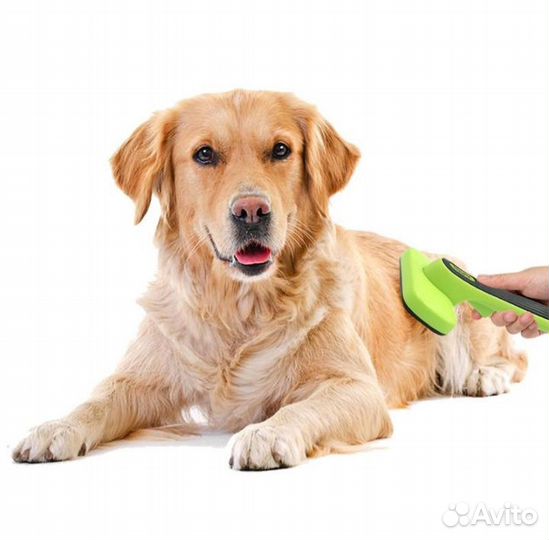 Щетка. Щётка для шерсти. Щётка для собак