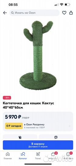 Когтеточка не один дома