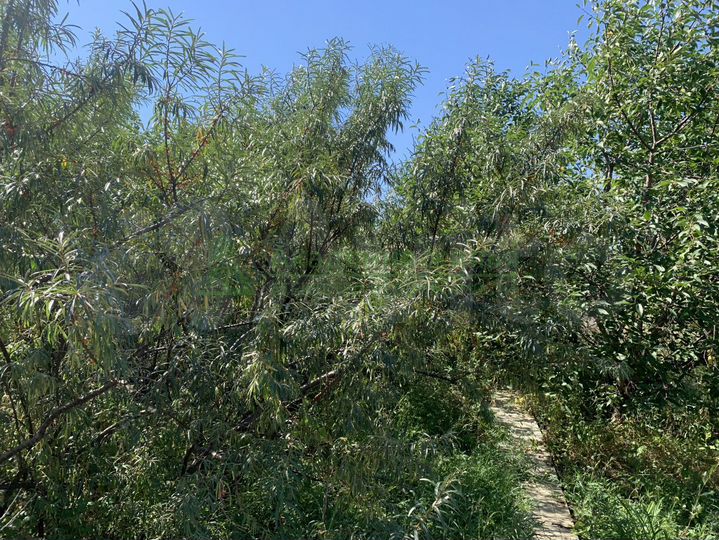 Дача 48 м² на участке 12 сот.