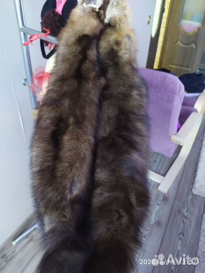 Шкуры соболя