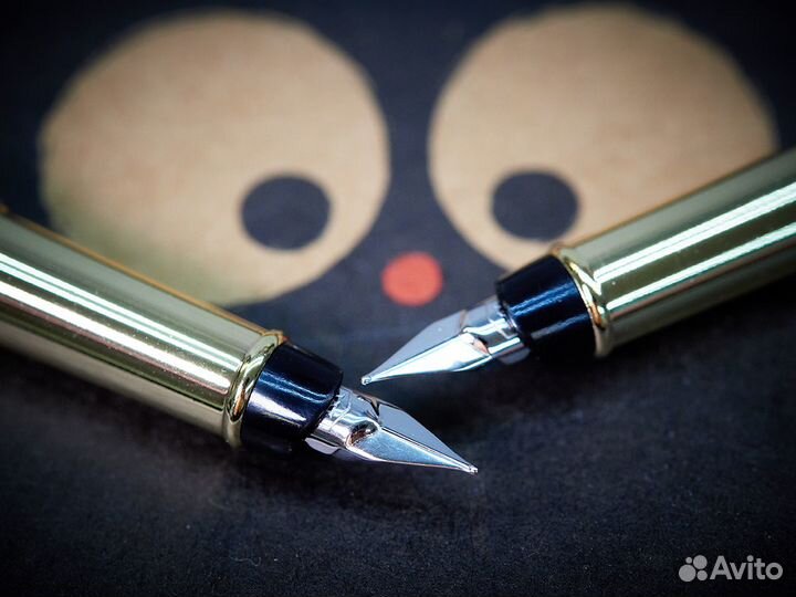 Перьевая ручка. Большой выбор