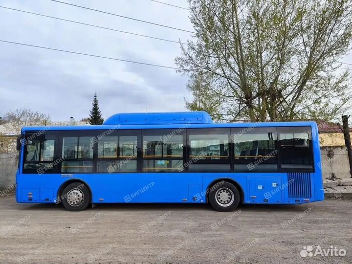 Городской автобус Zhong Tong LCK6105HGC, 2023