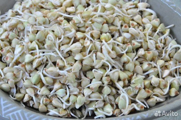 Зеленая гречка,лён корич,соя,чечевица зелен от 1кг