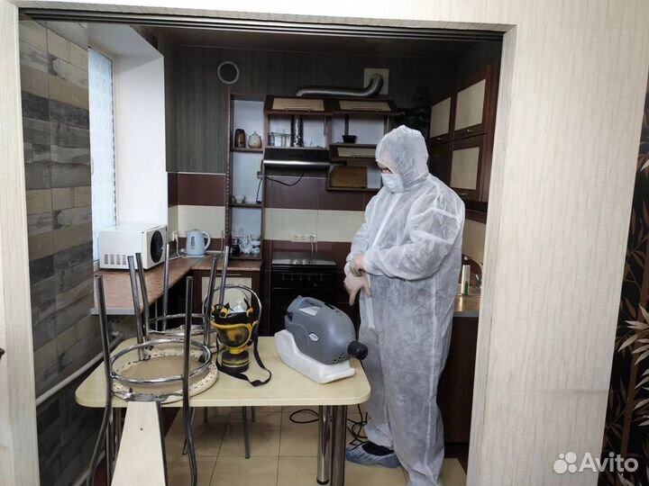 Уничтожение тараканов клопов. Дезинсекция