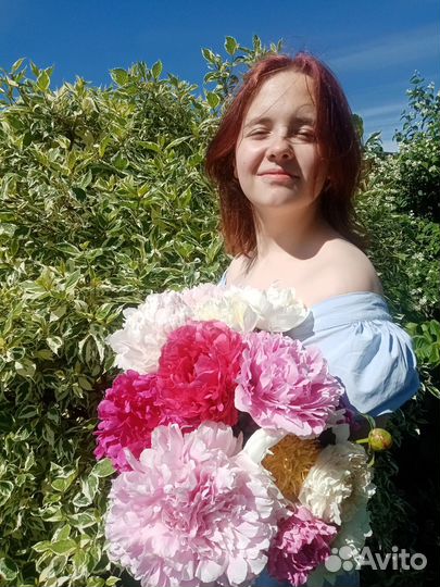 Цветы пиона