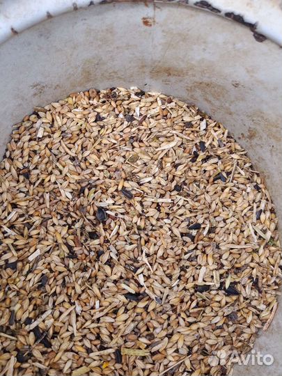 Зерносмесь