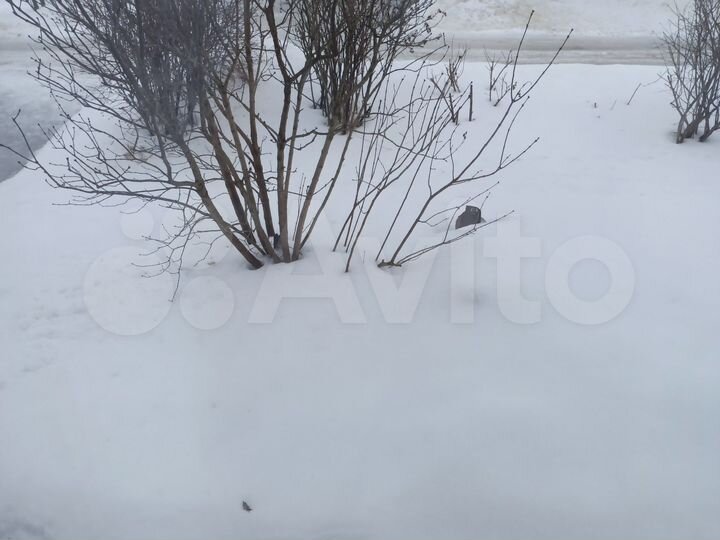 Участок 10 сот. (СНТ, ДНП)