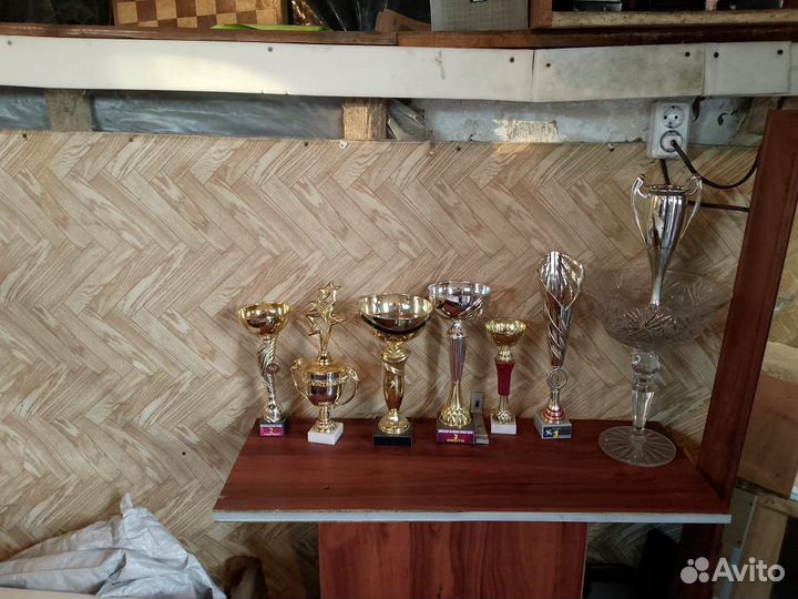 Кубки наградные