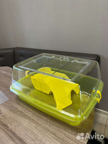 Клетка дюна