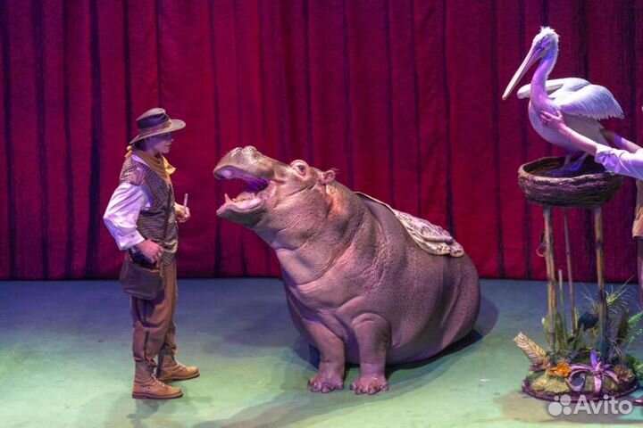 Необыкновенное путешествие Уголок Дурова