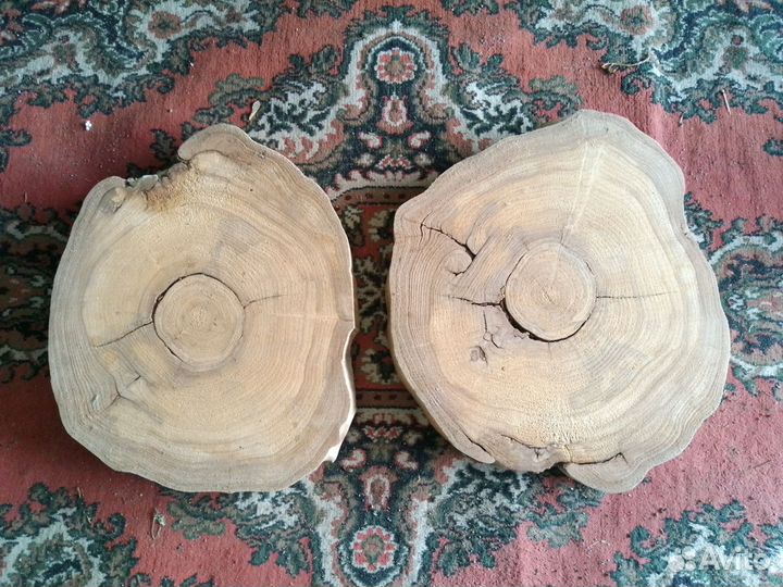 Спилы карагача