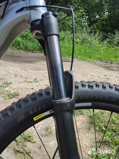 Canyon neuron al M 29er