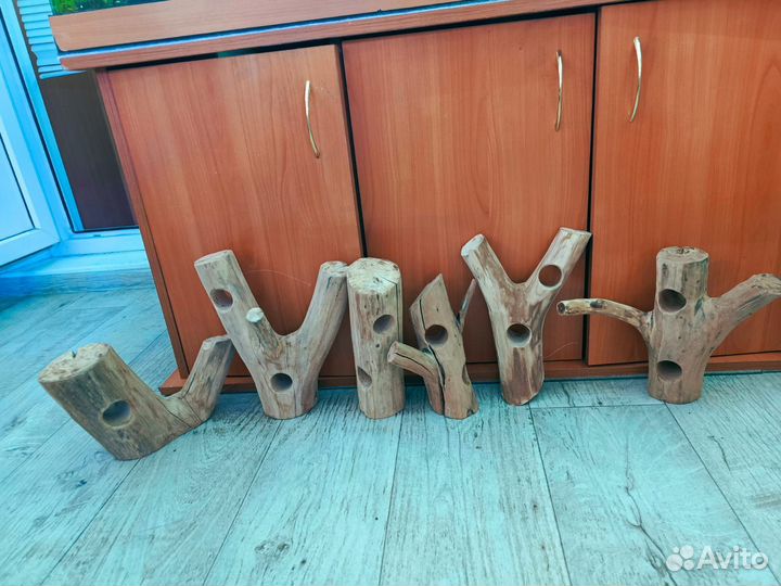 Аквариумные рыбки и растения