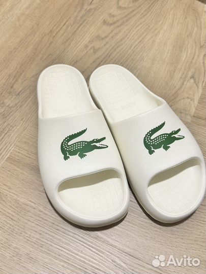 Сланцы lacoste