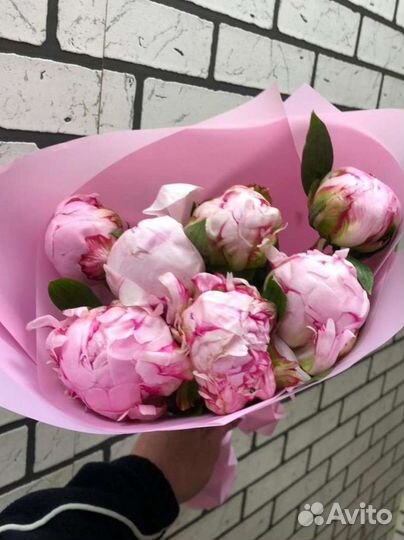 Пионы букет цветов на 1 сентября коробка корзина