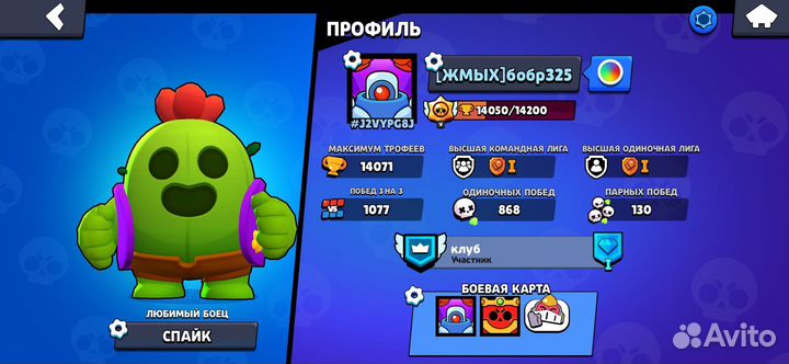 Тренер по бравл Старс