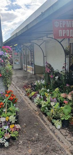 Торговое помещение, 8 м²