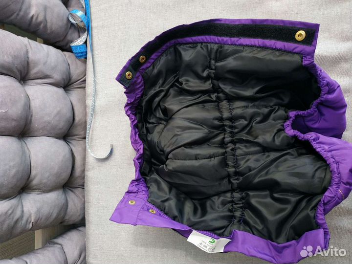 Новые вещи для собаки