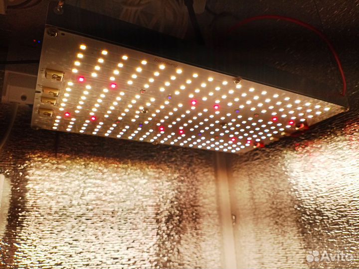 Quantum Board Samsung Lm301H 80Вт +Cree 660nm+IR+U