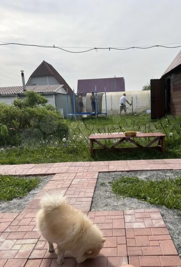 Дом 36 м² на участке 4 сот.