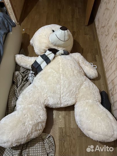 Плюшевый медведь