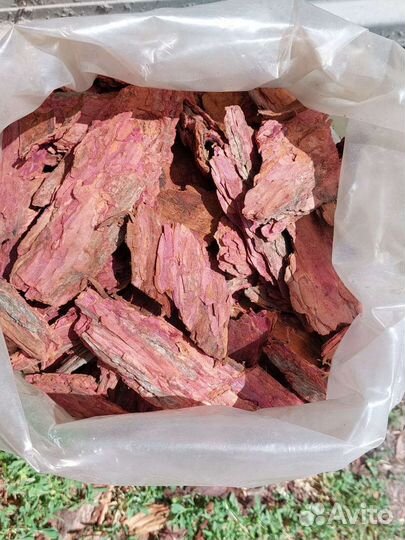 Кора лиственницы