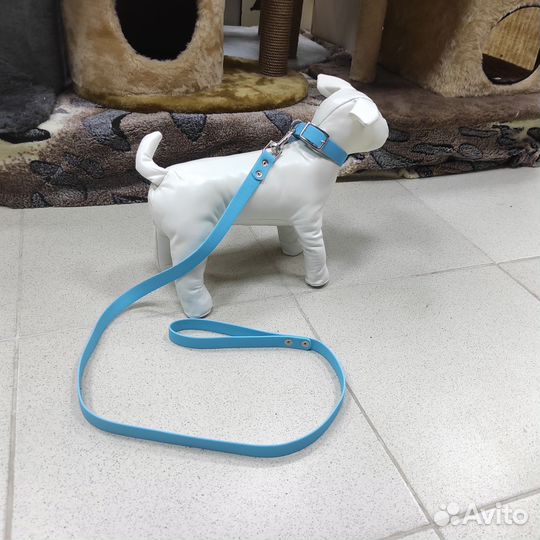 Ошейник и поводок