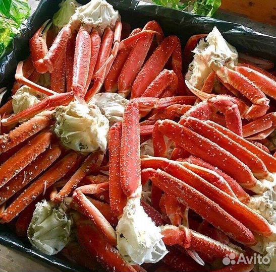 Краб камчатский