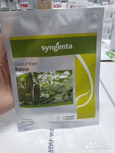 Семена огурец Спино 500с Сингента