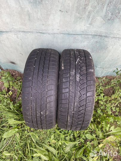 Continental ContiWinterContact TS 790 205/60 R16