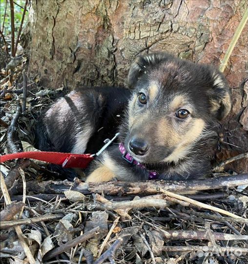 Для тех кто поймет как горько остаться одной