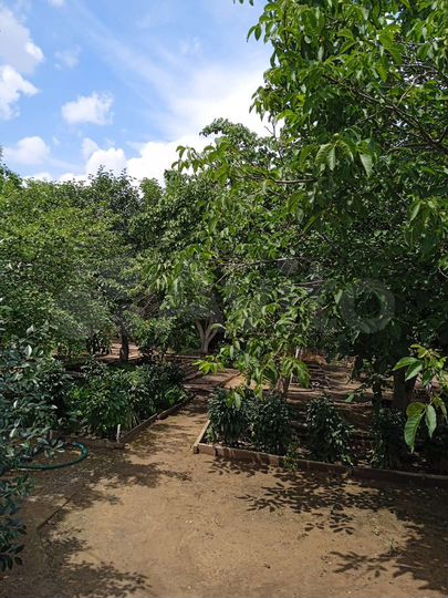 Дача 40 м² на участке 6,1 сот.