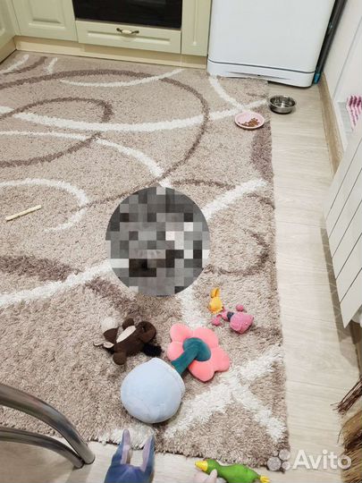Ковер шегги 2 на 3 метра