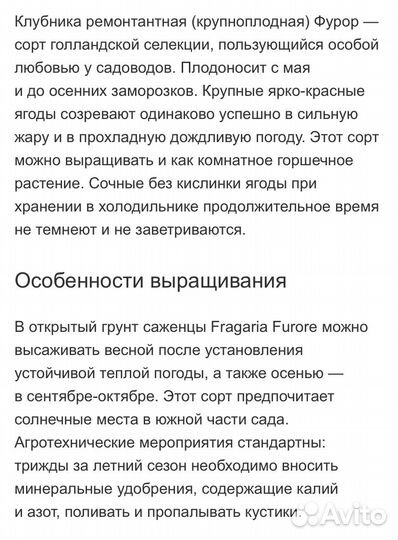 Клубника саженцы