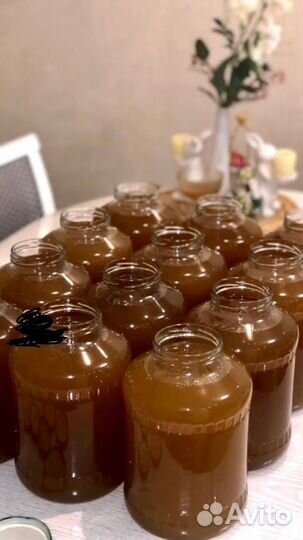 Мед башкирский