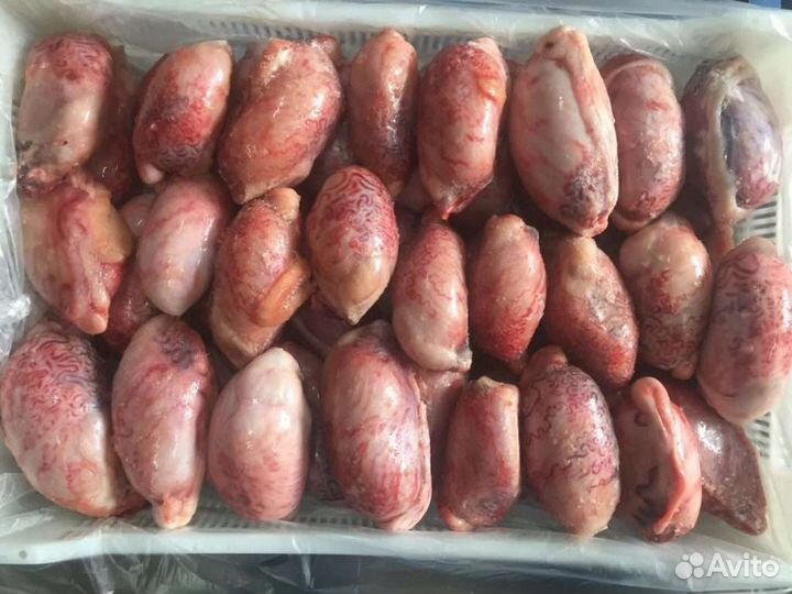 Свежее говяжье мясо для собак и кошек