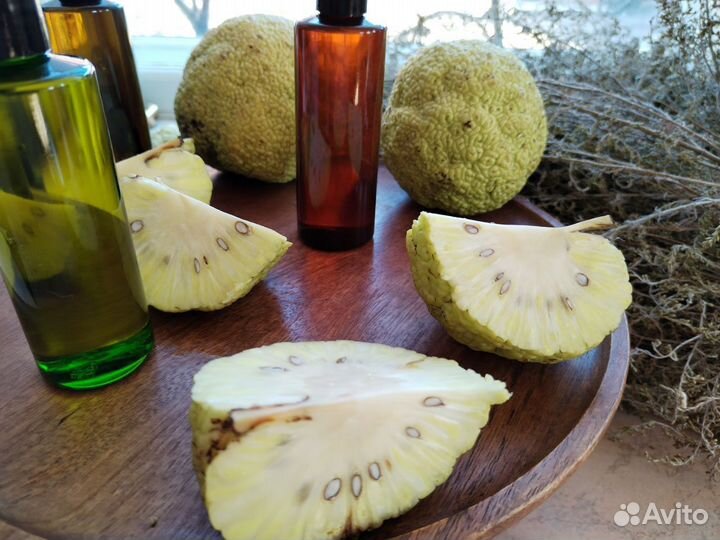 Крем из адамова яблока маклюры мазь