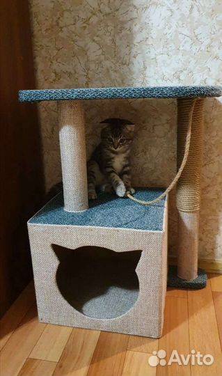 Домик для котят