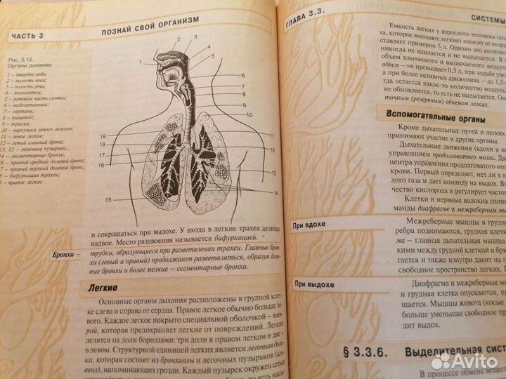 Энциклопедия