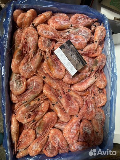 Икра и Креветки магаданские