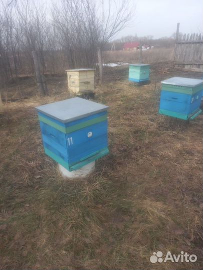 Ульи для пчел