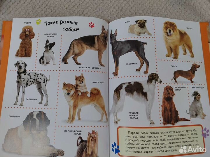 Детская книга