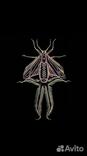 Графика серия 