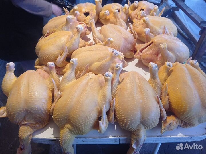 Куры бройлеры тушками