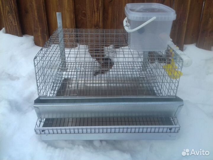 Клетка для перепелов