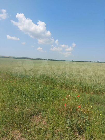 Участок 107 га (СНТ, ДНП)