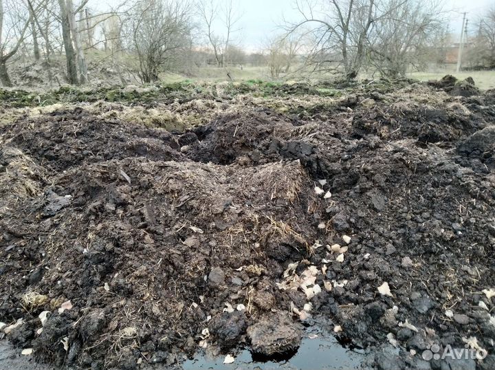 Перегной любой