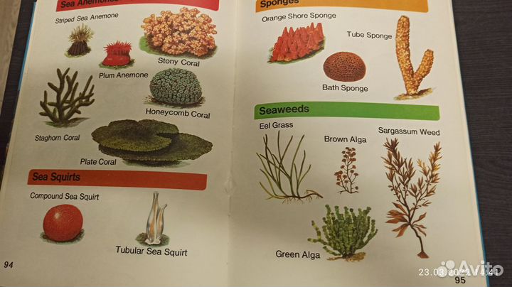 Книги детские в твердой обложке