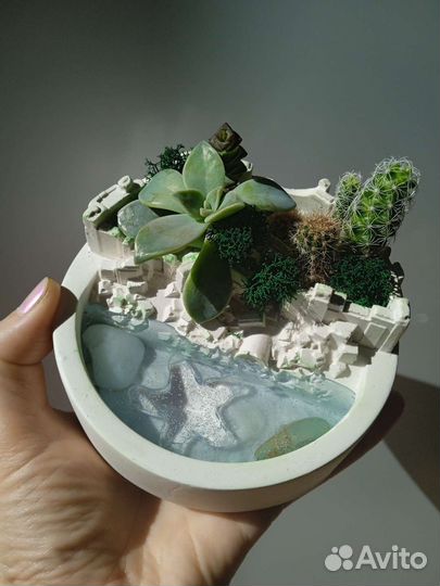 Букеты.Комнатные цветы. Подарок. Цветы